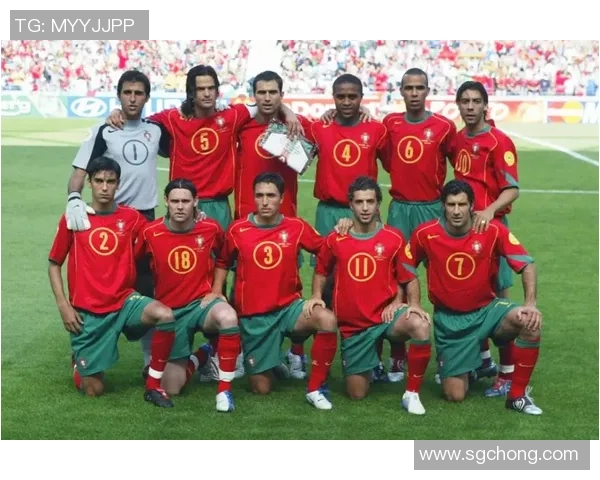 足球明星包子的传奇故事与他在绿茵场上的辉煌成就揭秘